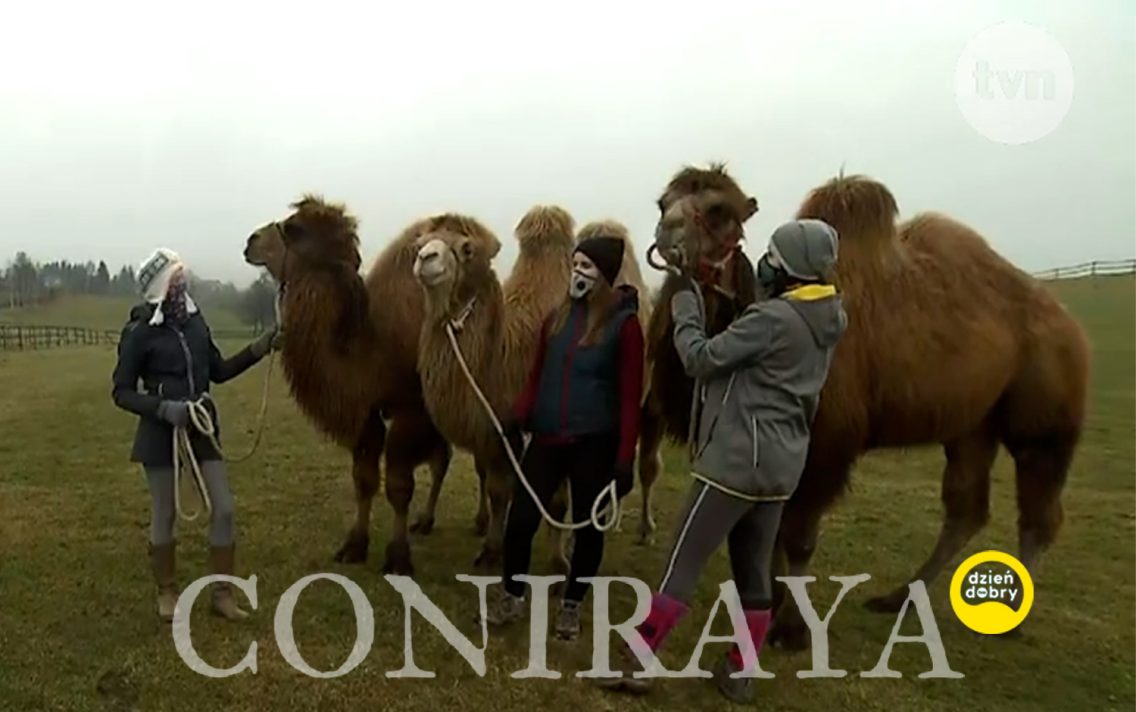 main image: Kacper, Melchior i Baltazar nasze gwiazdy, wystąpili 30 grudnia w Dzień Dobry TVN