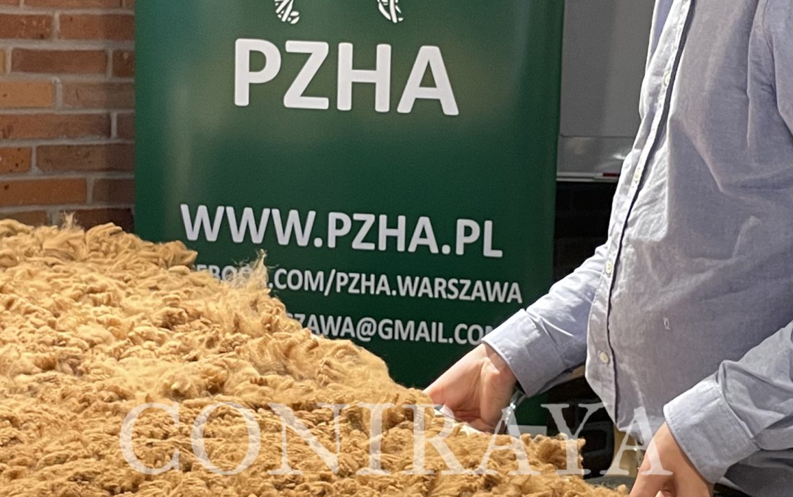 main image: III Fleece Show PZHA