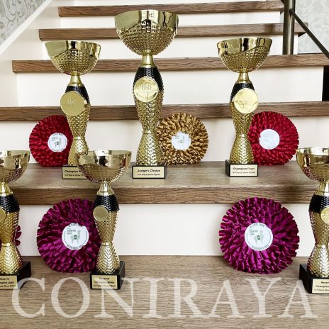 coniraya IV fleece show PZHA 1