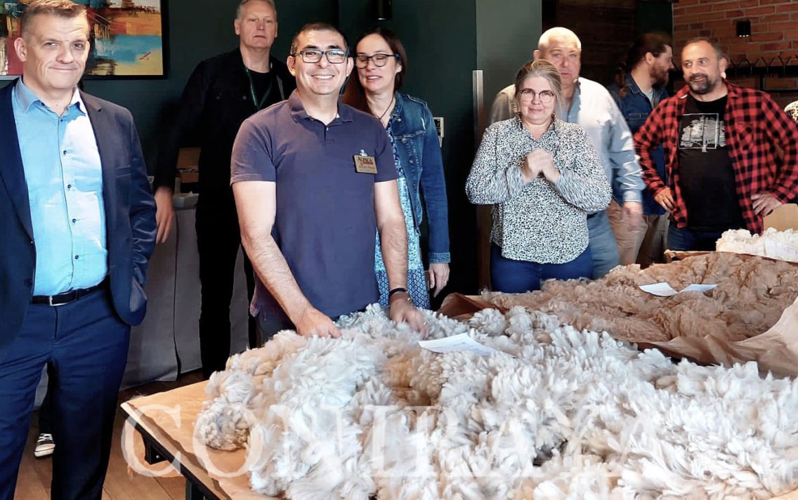 main image: IV Fleece Show PZHA