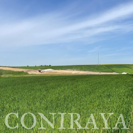 coniraya Współpracę z firmą Cifo 2