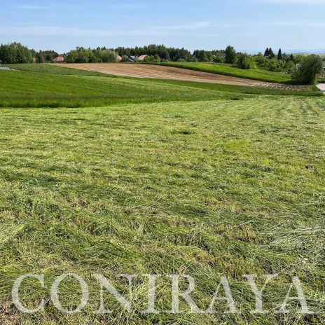 coniraya Współpracę z firmą Cifo 3