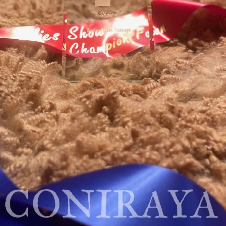 coniraya Fleece Show w Szwajcarii 2