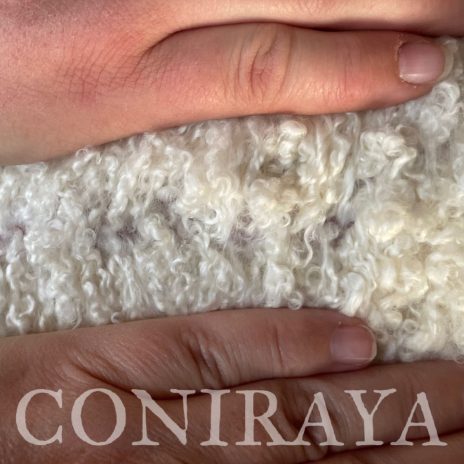 Coniraya Cadumus de Calvados 3