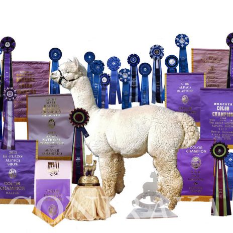 Coniraya Leviathans Tiziano Xanadu Peruvian Aristide 6