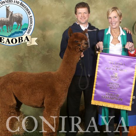 Coniraya Leviathans Van Dijk CCNF Leviathan 13