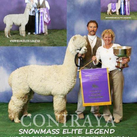 Coniraya Leviathans Van Dijk Snowmass Elite Legend 16