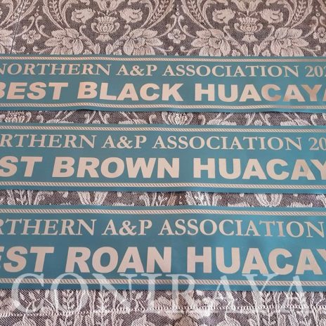 Coniraya Oak Ridge Taittinger 4