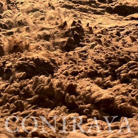 Coniraya Oak Ridge Taittinger 5