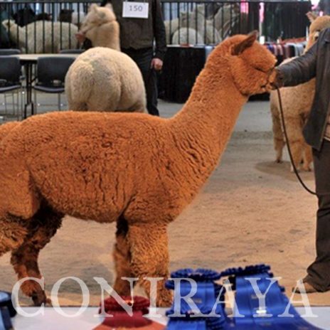 Coniraya Red Granites Pallaton 2-1