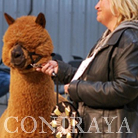 Coniraya Red Granites Pallaton 2-4