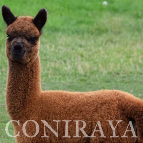 Coniraya Red Granites Pallaton 3-3