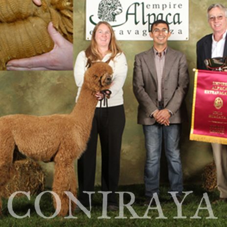 Coniraya Red Granites Pallaton 4-2