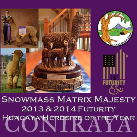 Coniraya Red Granites Pallaton 5