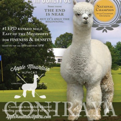 Coniraya Red Granites Pallaton 6