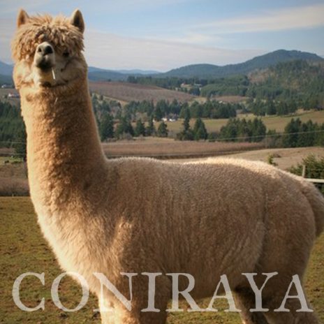 Coniraya Red Granites Pallaton 7