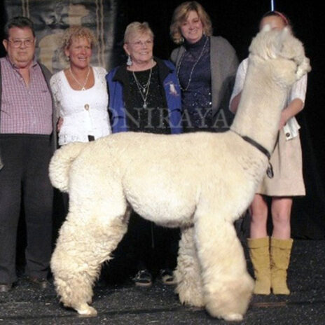 Coniraya Snowmass Minuet 6