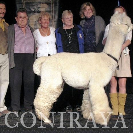 Coniraya Snowmass Minuet 6