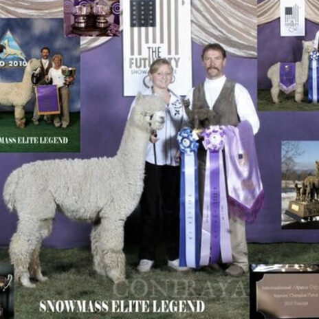 Coniraya Snowmass Minuet 7