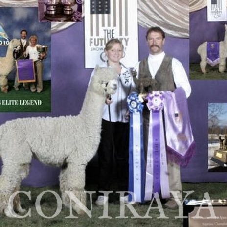 Coniraya Snowmass Minuet 7