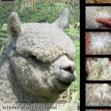 Coniraya Snowmass Minuet 8