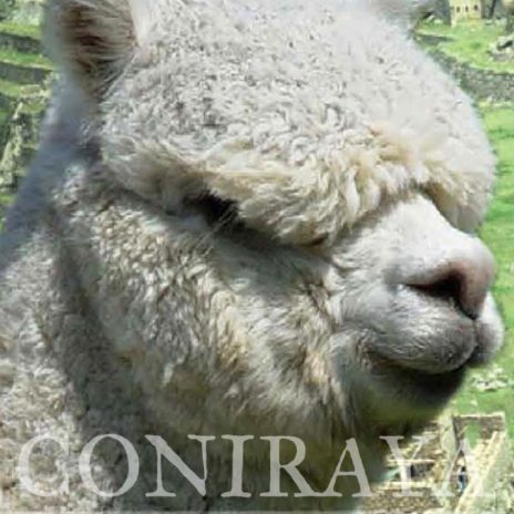 Coniraya Snowmass Minuet 8