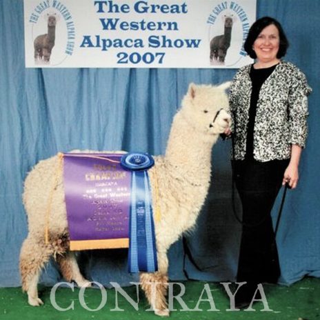 Coniraya Xanadu Allouette 1