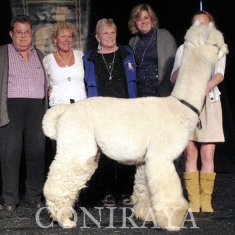 Coniraya Xanadu Allouette 2