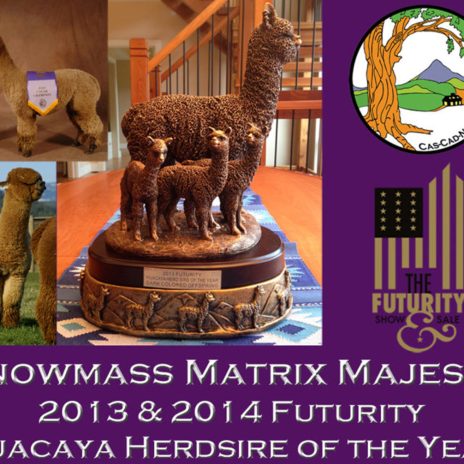 Coniraya Xanadu Allouette 3