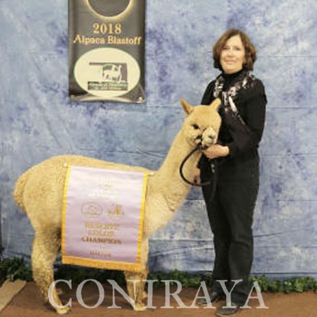 Coniraya Xanadu Allouette 5