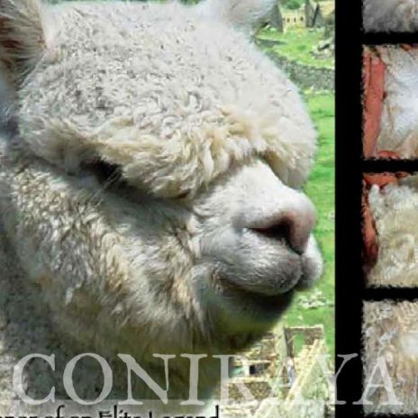 Coniraya Xanadu Kachina 7