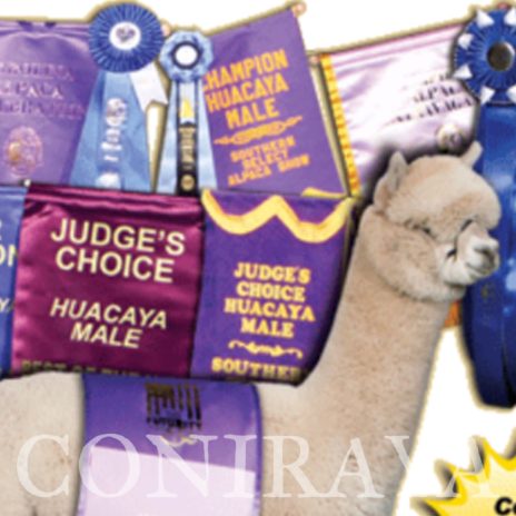 Coniraya FDA BT Wanted Man's Bounty Hunter 2