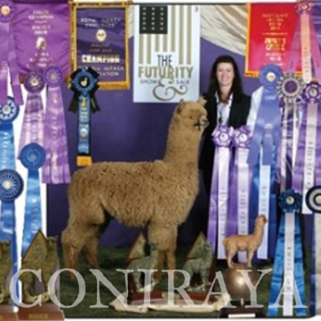 Coniraya FDA BT Wanted Man's Bounty Hunter 3