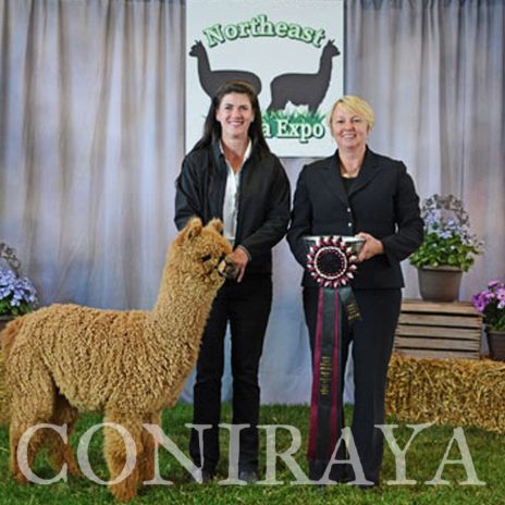 Coniraya FDA BT Wanted Man's Bounty Hunter 4