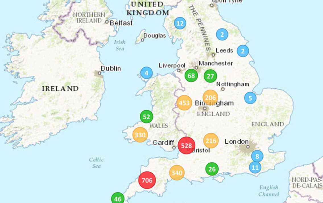 main image: Gruźlica u wielbłądowatych w Wielkiej Brytanii