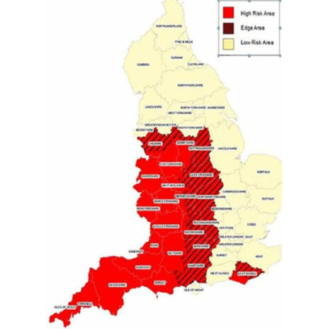 Gruźlica u wielbłądowatych w Wielkiej Brytanii