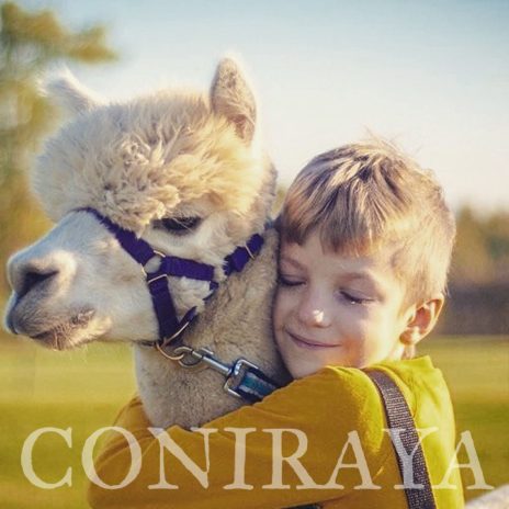 Coniraya Signior Sagit 4