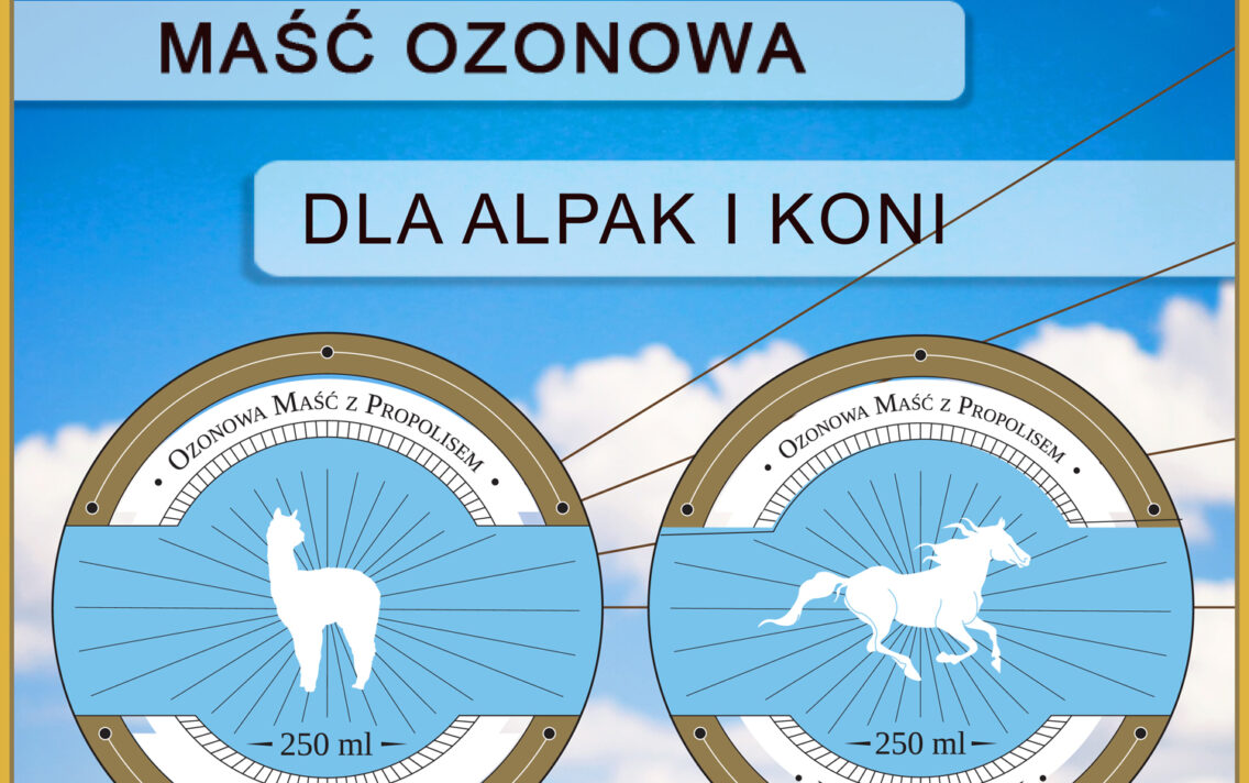 main image: Nowość w naszej ofercie