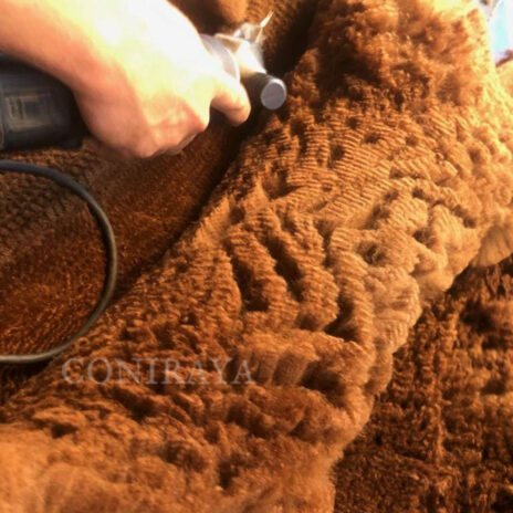 coniraya Seminarium z sędzią Robinem Nasemannem 2