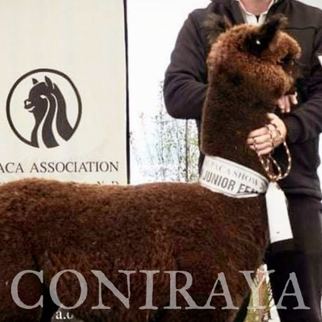 coniraya Oak Ridge Provence 3