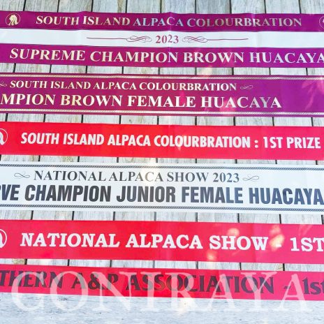 coniraya Oak Ridge Provence 4