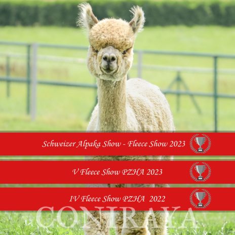 2023 Coniraya Leviathans Van Dijk SA 1