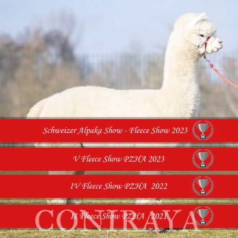 2023 Coniraya Xanadu Peruvian Calvados VFS PZHA 1