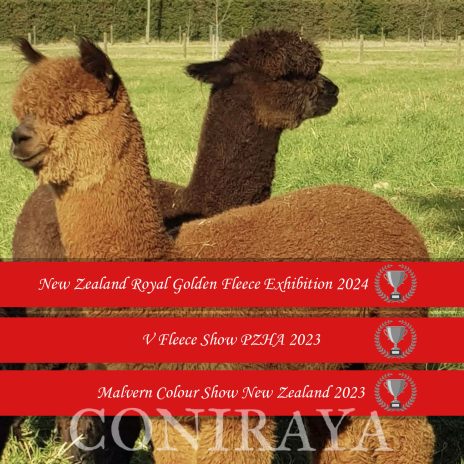 2024 Coniraya Oak Ridge Taittinger NZRGFE 1