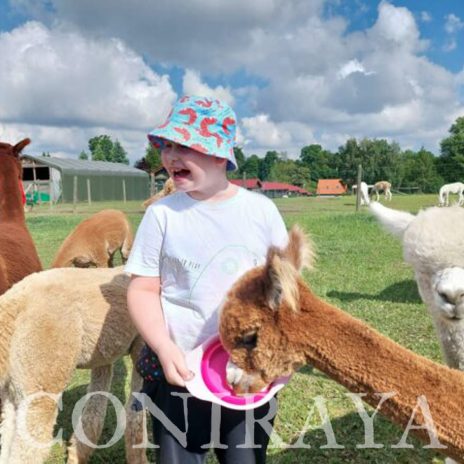 coniraya alpakoterapia 3