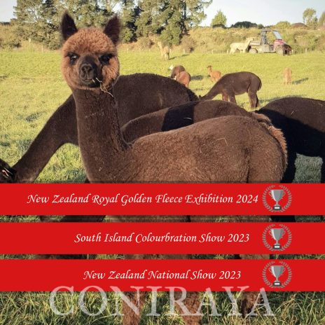 Coniraya Oak Ridge Provence MCS SICS NZNS 1