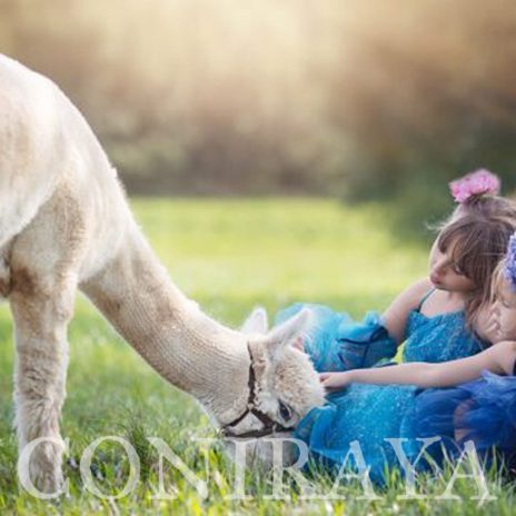 coniraya sesja fotograficzna 2