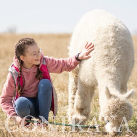 coniraya sesja fotograficzna 3