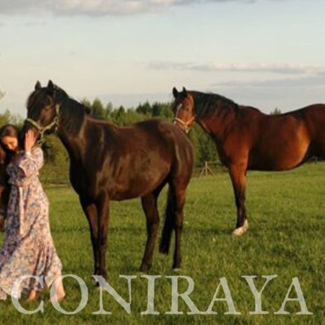 coniraya sesja fotograficzna 4