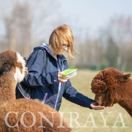 coniraya spotkanie ze zwierzętami 4